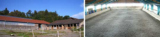 Reitanlage