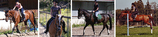 Reitstunde in der Reitschule M�nchen