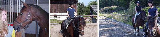 Dressurplats