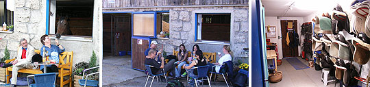 Reitschule M�nchen