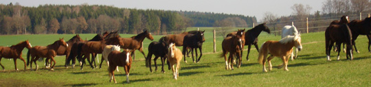 fruehjahr