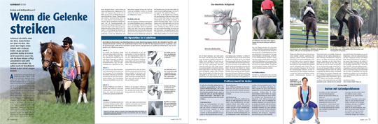 Reiten trotz Gelenkbeschwerden