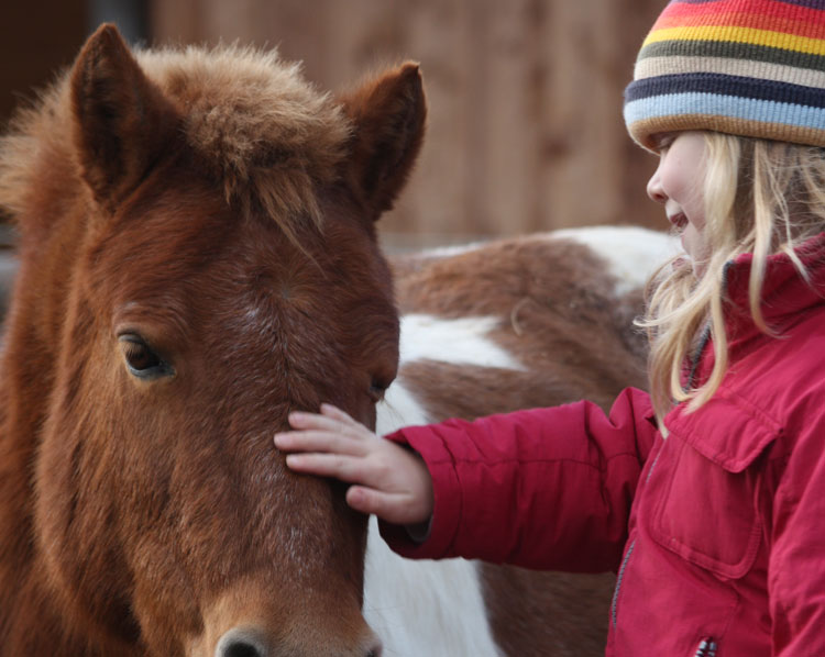 Pony und Kind