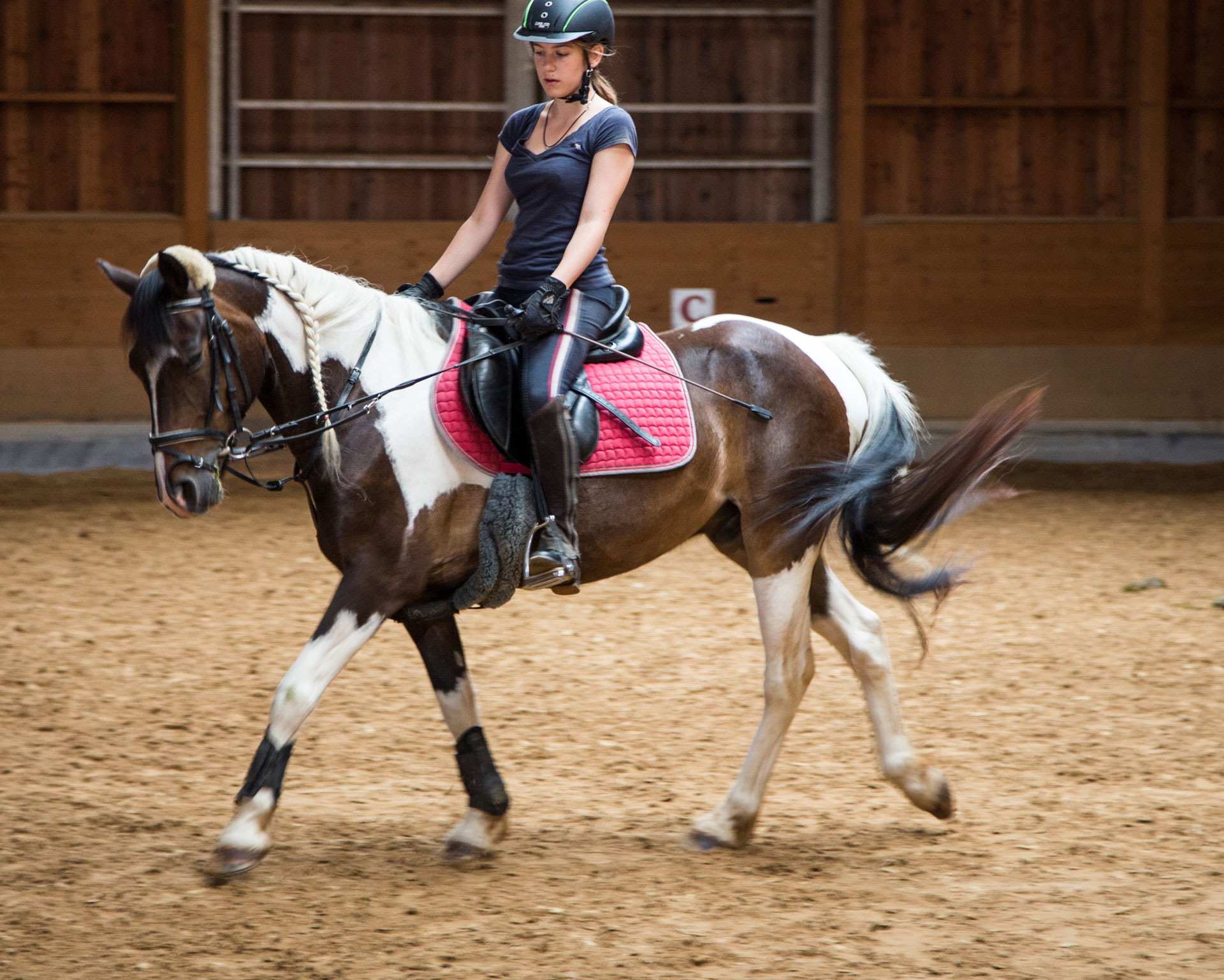 Ferienkurse für Reitschüler