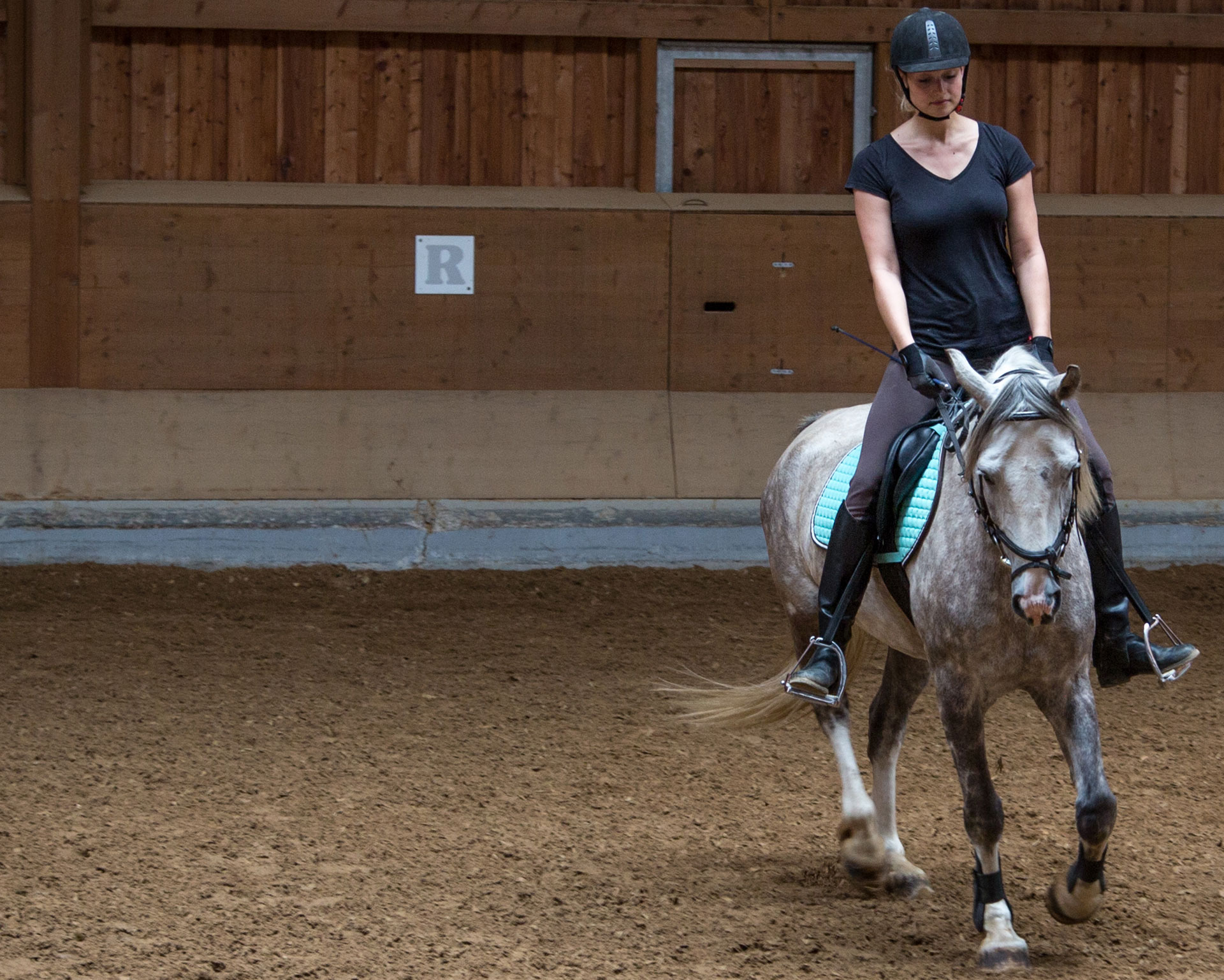 Stellenangebote der Reitschule