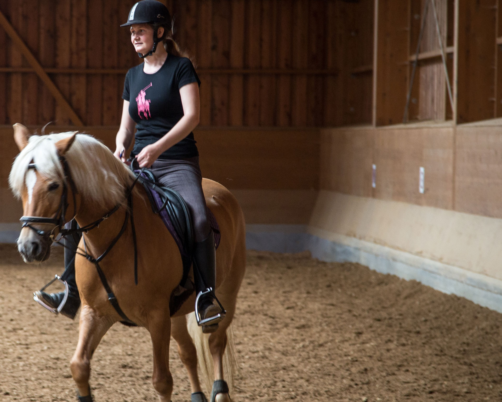 Reitabzeichen bei der Reitschule Weissauer